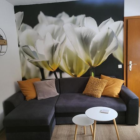 Pension Waldschloss Holzminden Exteriör bild